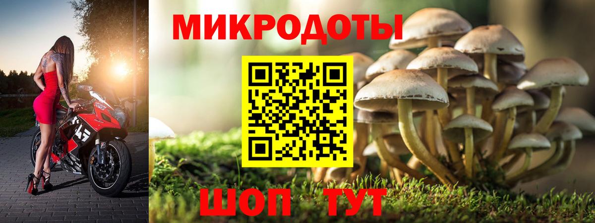 Псилоцибиновые грибы Psilocybine cubensis  Псилоцибиновые грибы MAGIC MUSHROOMS  Новотроицк  Вход с VPN 